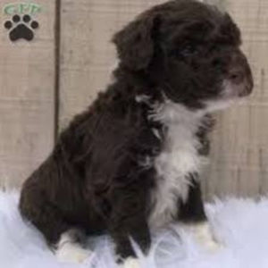 Meet your Posher, Elisiv